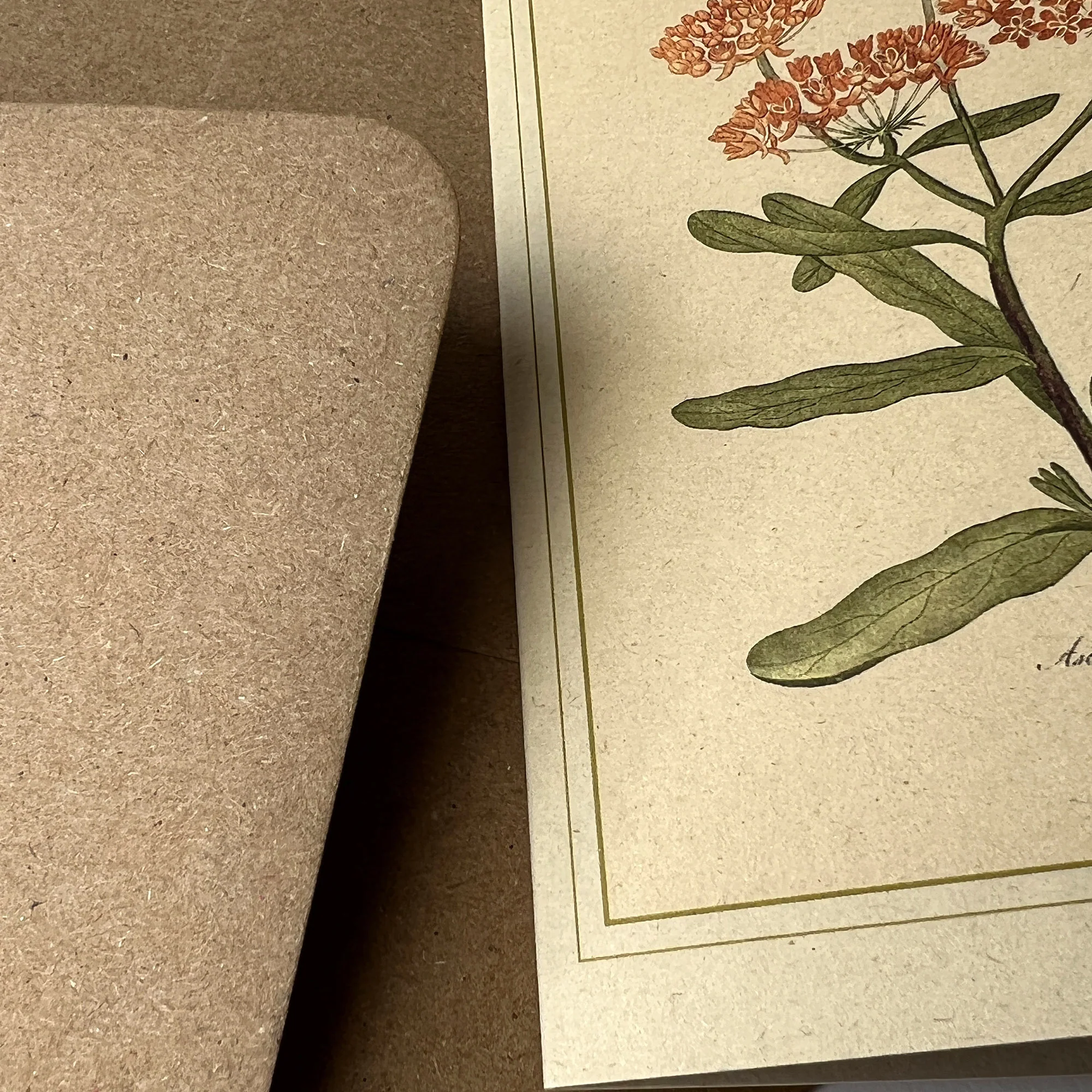 Napiers Botanical Prints - Image 11