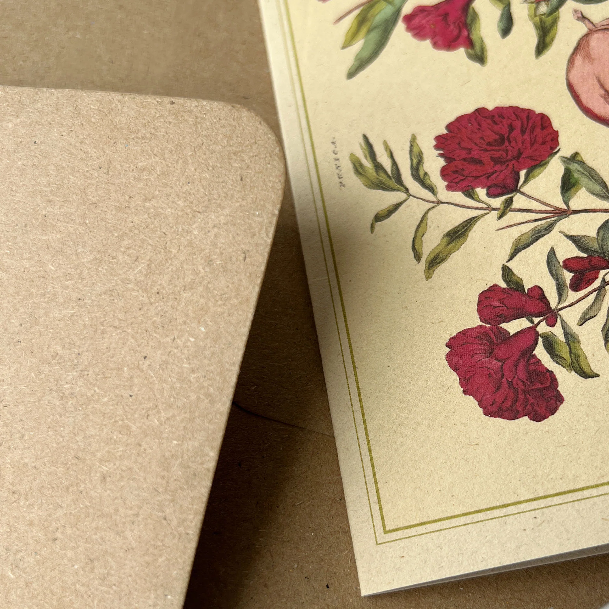 Napiers Botanical Prints - Image 12