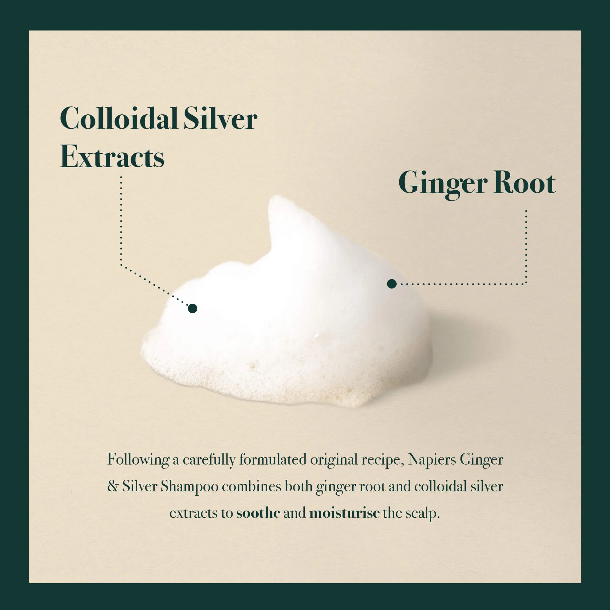 Napiers Ginger and Silver Anti Dandruff Shampoo - Image 4