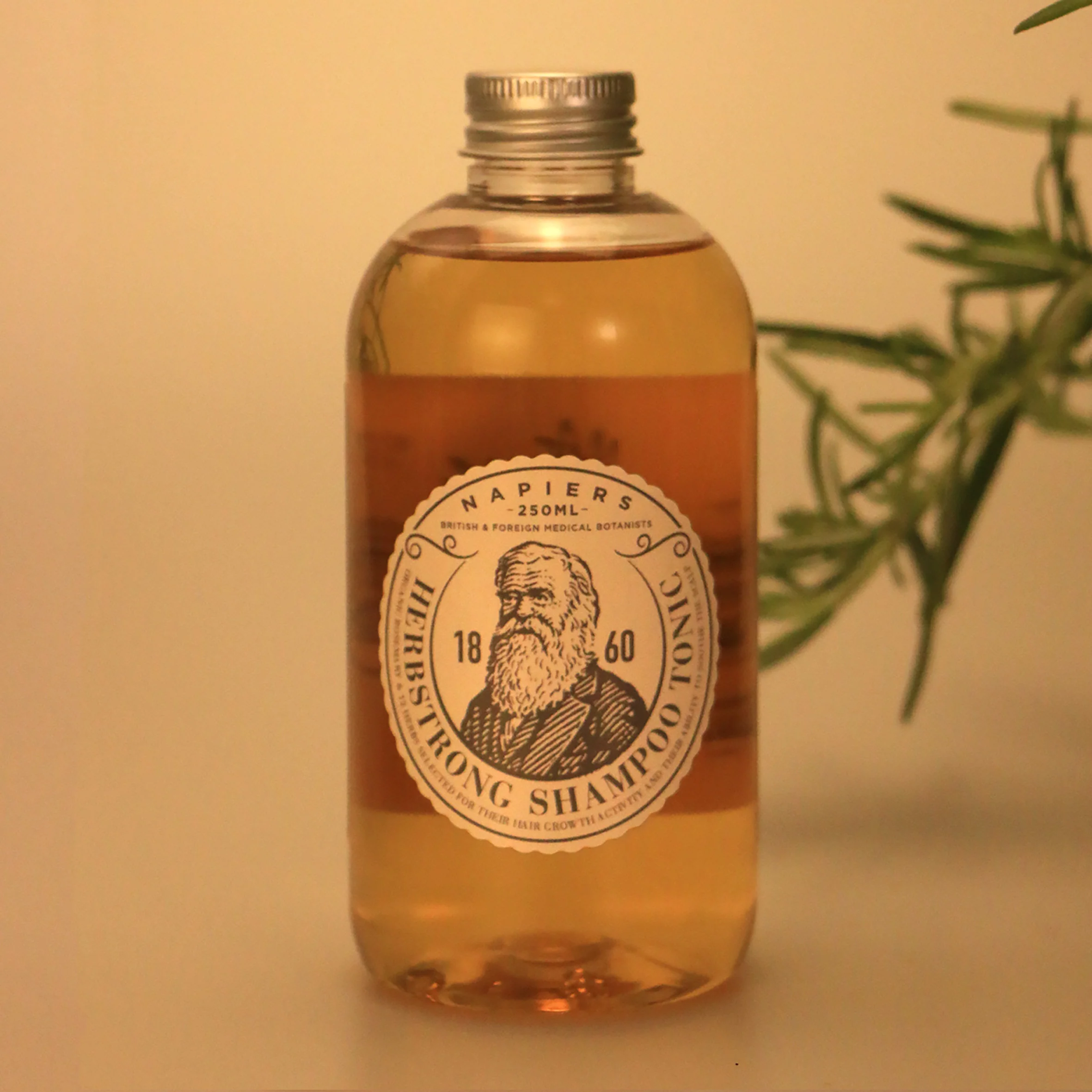 Napiers Herbstrong Shampoo Tonic - Image 5