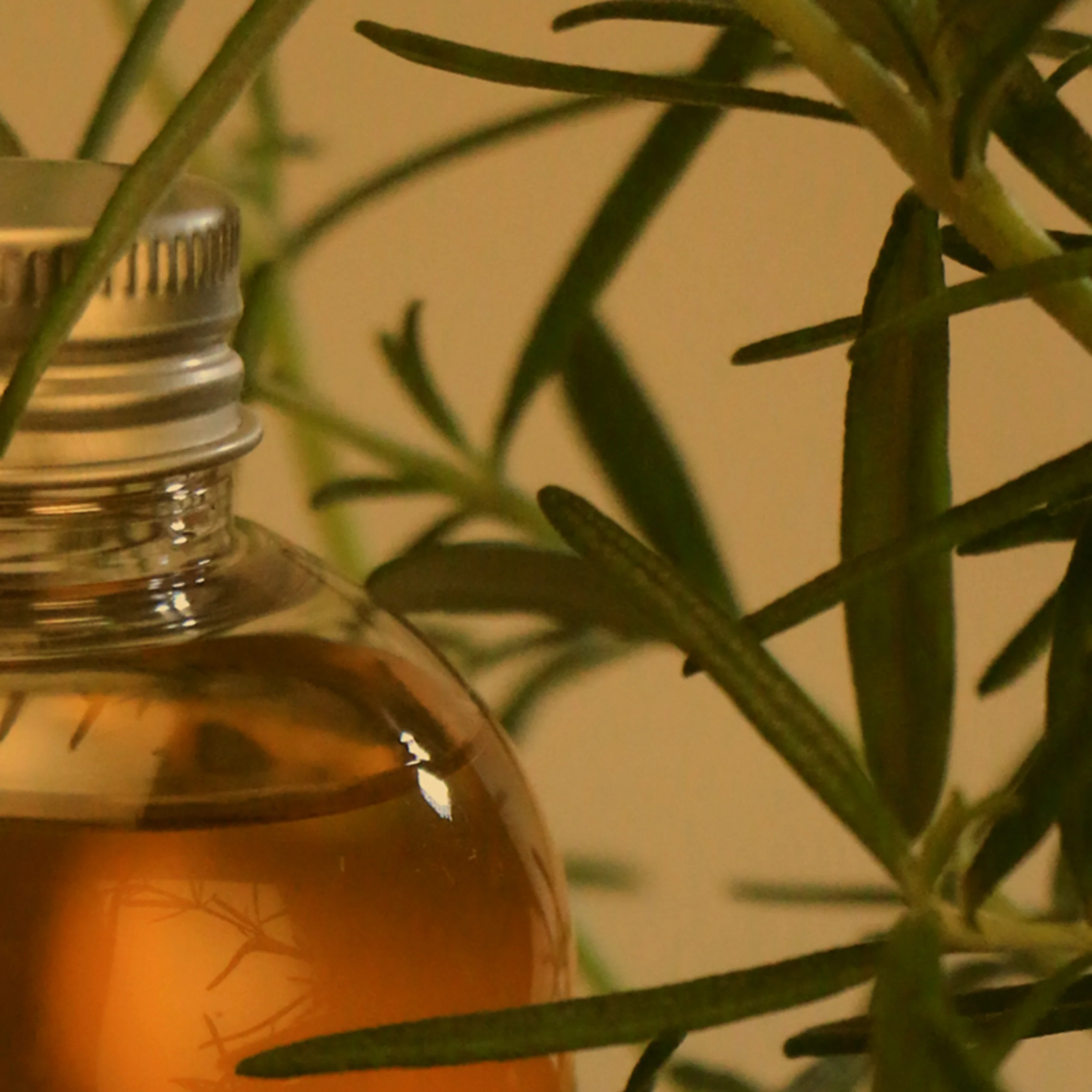 Napiers Herbstrong Shampoo Tonic - Image 6