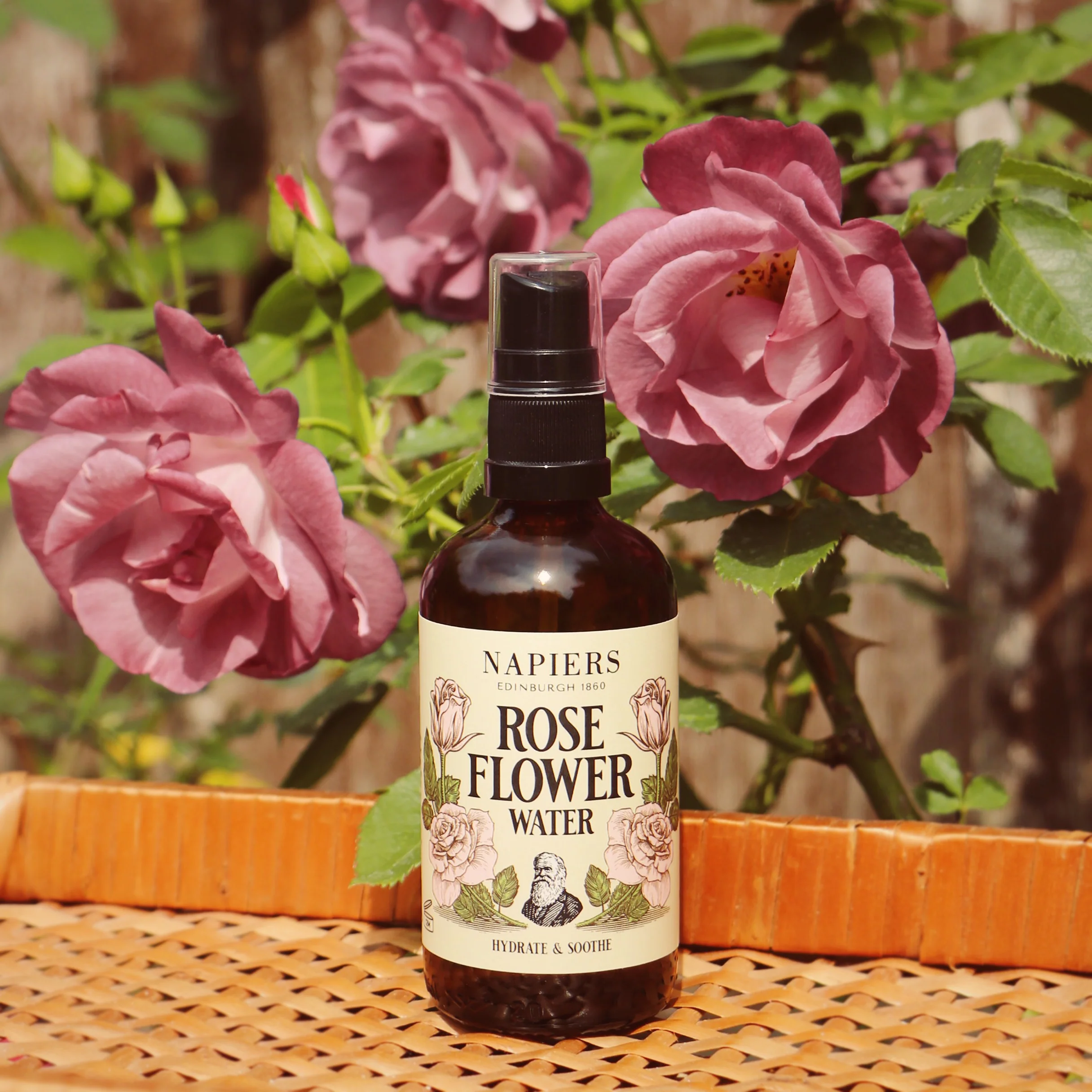 Napiers Rose Flower Water - Image 4