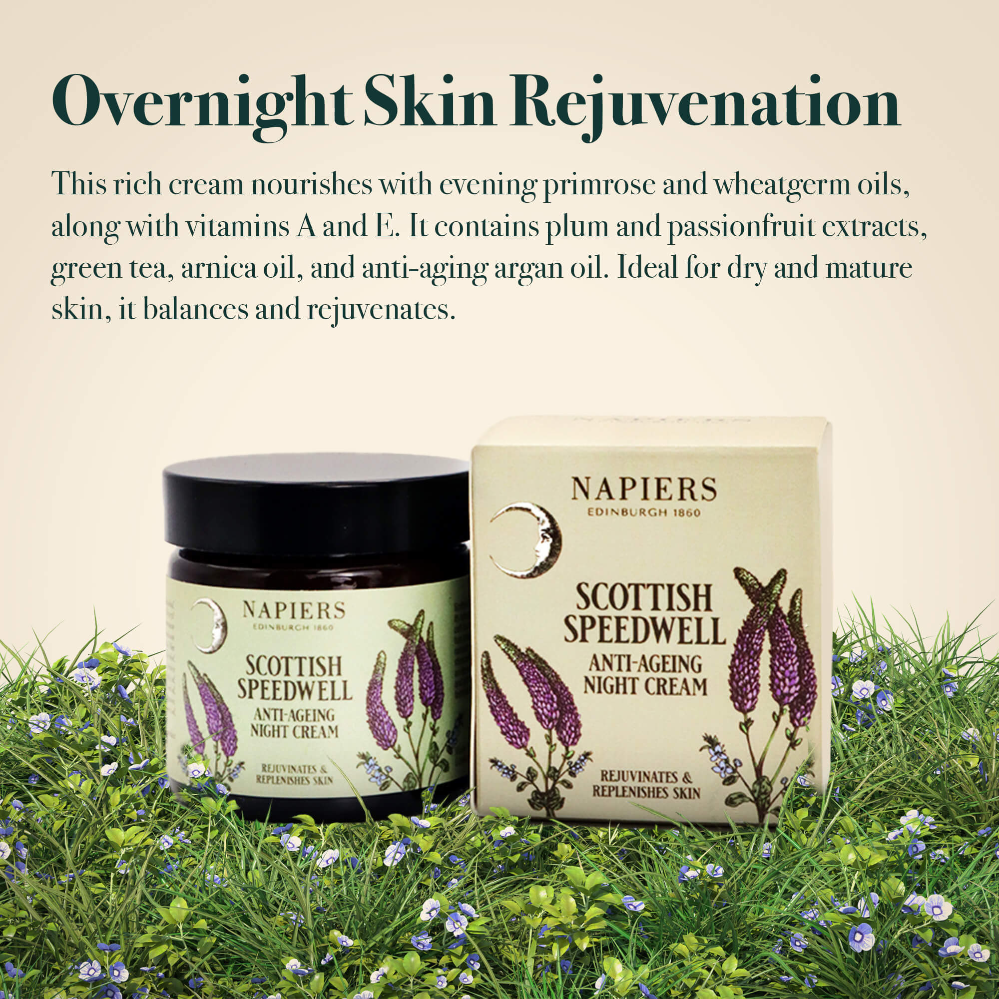 Napiers Speedwell Ageless Night Cream - Image 3