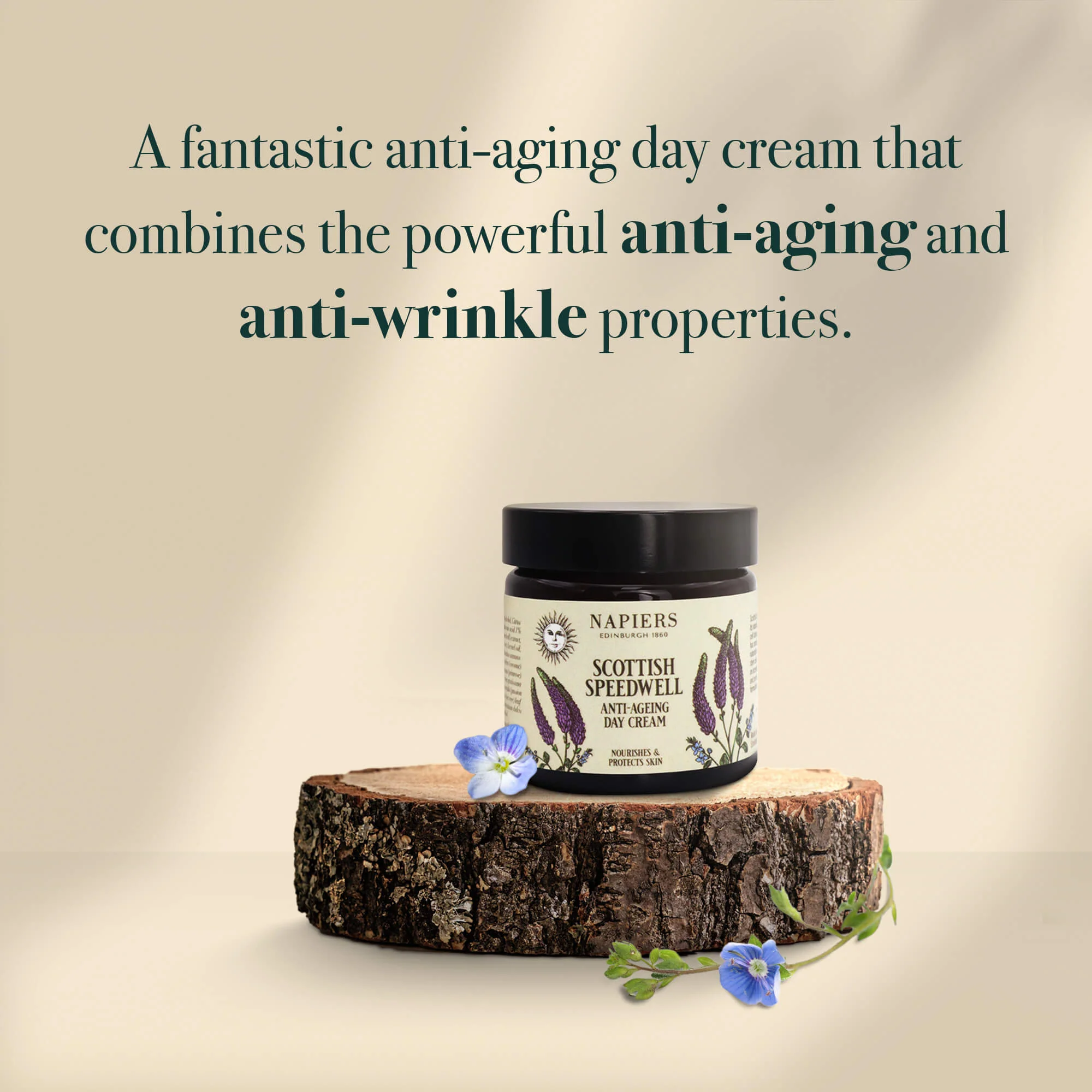 Napiers Speedwell Ageless Day Cream - Image 4