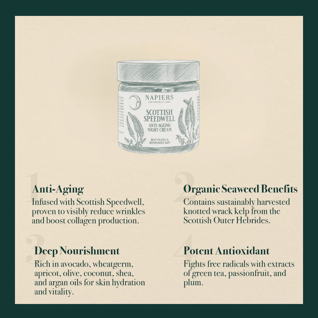 Napiers Speedwell Ageless Night Cream - Image 4