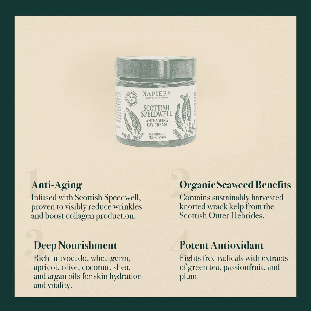 Napiers Speedwell Ageless Day Cream - Image 3